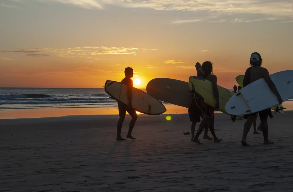 surfing